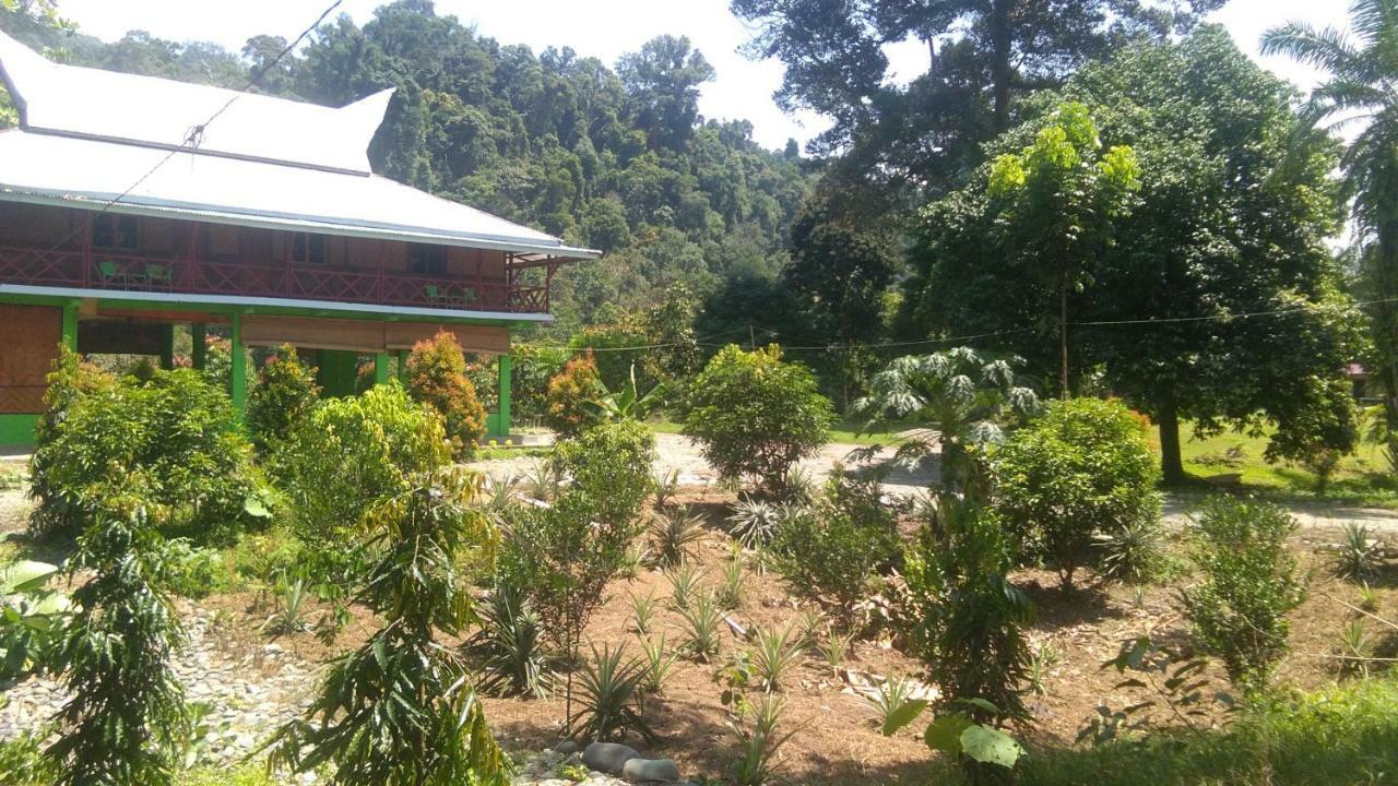 唐卡汉绿色森林酒店 Tangkahan 外观 照片